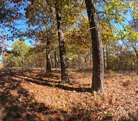 Tbd Ridge, Tunas, MO 65764 photo 8