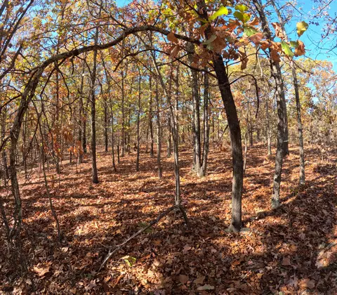 Tbd Ridge, Tunas, MO 65764 photo 11