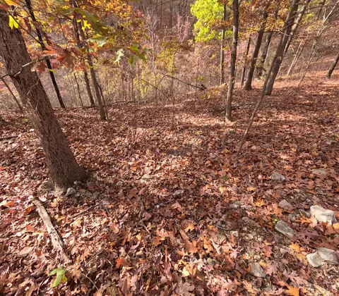 Tbd Ridge, Tunas, MO 65764 photo 16