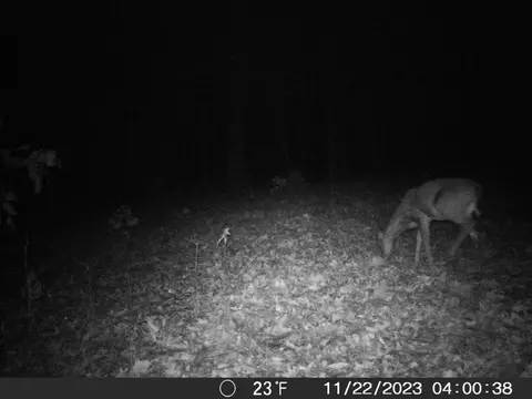 Tbd Ridge, Tunas, MO 65764 photo 23
