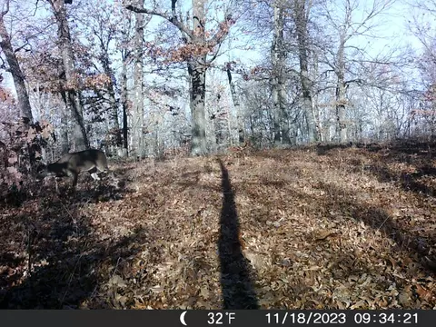 Tbd Ridge, Tunas, MO 65764 photo 21