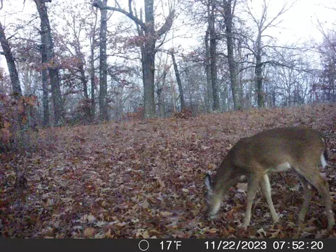 Tbd Ridge, Tunas, MO 65764 photo 24