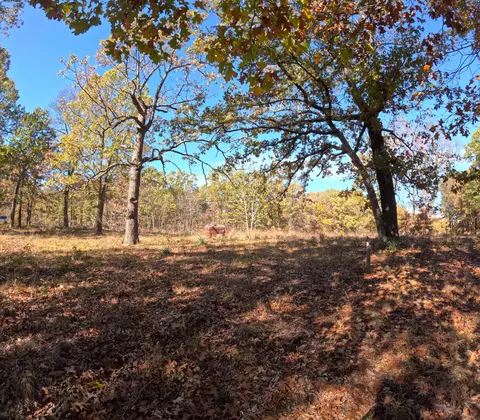 Tbd Ridge, Tunas, MO 65764 photo 7