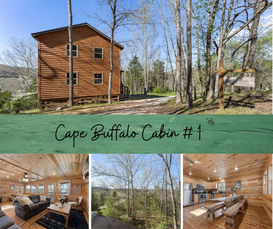 107 N C 6011 Unit Cabin 1  