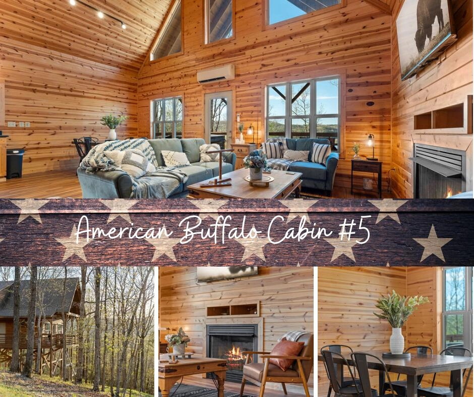 107 N C 6011 Unit Cabin 5  