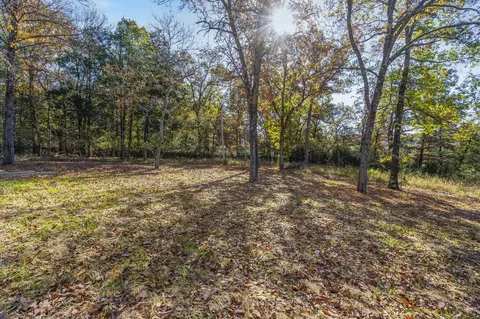 705 Wilson St, Branson, MO 65616 photo 30