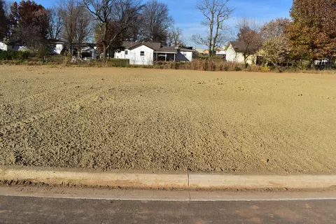 46 Whitley Lane, Monett, MO 65708 photo 11