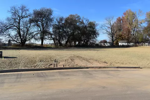 46 Whitley Lane, Monett, MO 65708 photo 4