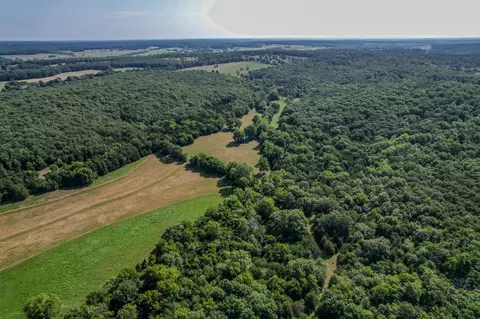 000 E Fork Ln, Marshfield, MO 65706 photo 3