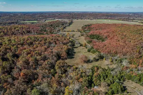 000 E Fork Ln, Marshfield, MO 65706 photo 20
