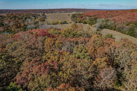 000 E Fork Ln, Marshfield, MO 65706 photo 46