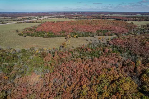 000 E Fork Ln, Marshfield, MO 65706 photo 18