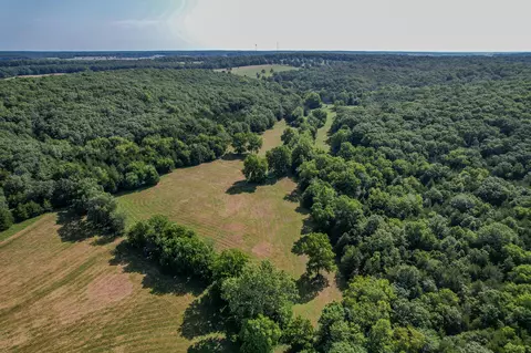 000 E Fork Ln, Marshfield, MO 65706 photo 6