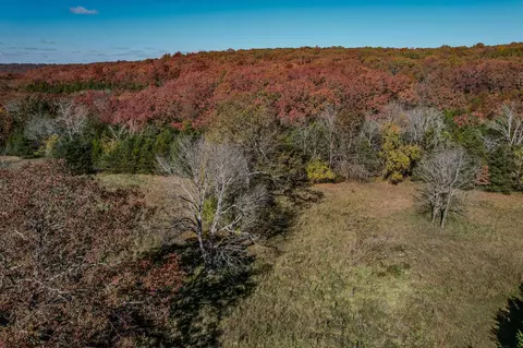 000 E Fork Ln, Marshfield, MO 65706 photo 45