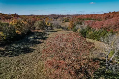 000 E Fork Ln, Marshfield, MO 65706 photo 44