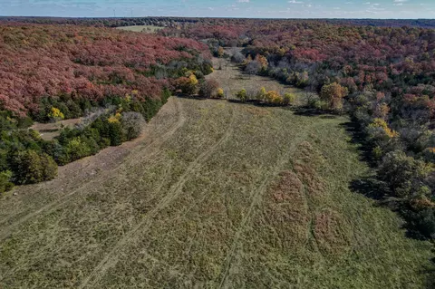 000 E Fork Ln, Marshfield, MO 65706 photo 39