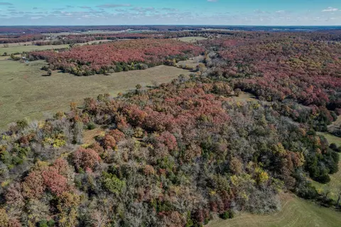 000 E Fork Ln, Marshfield, MO 65706 photo 15
