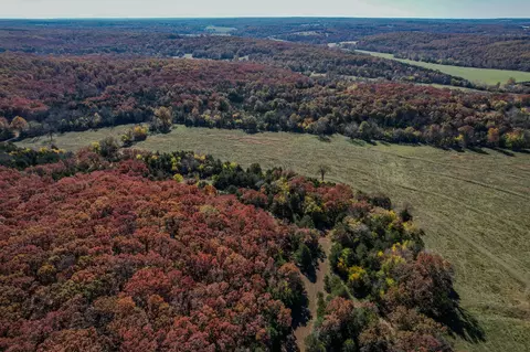 000 E Fork Ln, Marshfield, MO 65706 photo 28