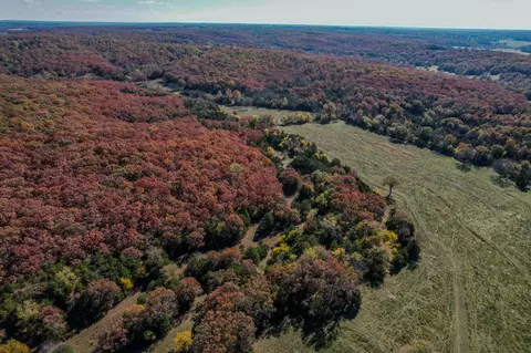 000 E Fork Ln, Marshfield, MO 65706 photo 30