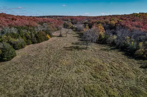 000 E Fork Ln, Marshfield, MO 65706 photo 41