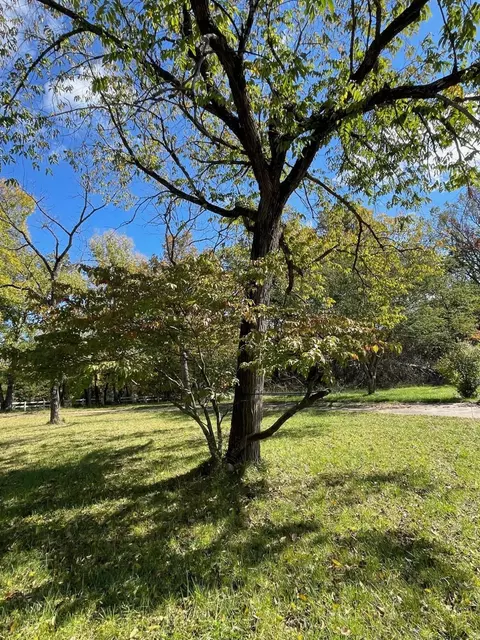 632 Elizabeth Rd, Walnut Shade, MO 65771 photo 7
