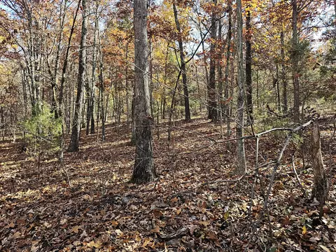42 Whitaker Loop, Isabella, MO 65676 photo 33