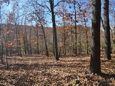 42 Whitaker Loop, Isabella, MO 65676 photo 6