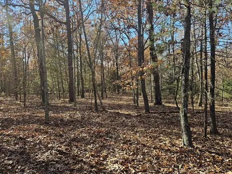 42 Whitaker Loop, Isabella, MO 65676 photo 32