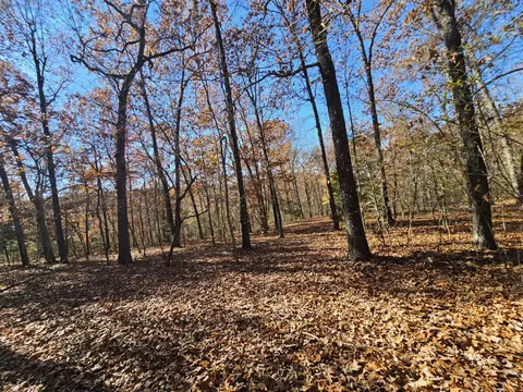 42 Whitaker Loop, Isabella, MO 65676 photo 26