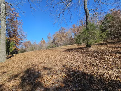 42 Whitaker Loop, Isabella, MO 65676 photo 25