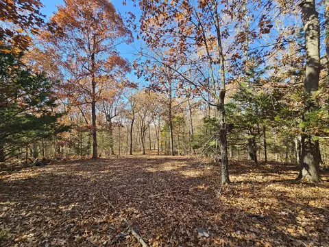 42 Whitaker Loop, Isabella, MO 65676 photo 31
