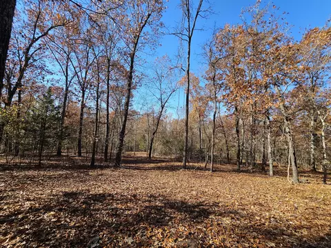 42 Whitaker Loop, Isabella, MO 65676 photo 8