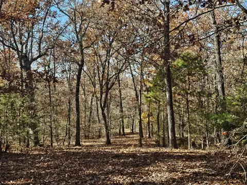 42 Whitaker Loop, Isabella, MO 65676 photo 24