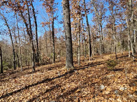 42 Whitaker Loop, Isabella, MO 65676 photo 27
