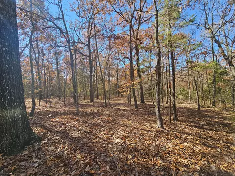 42 Whitaker Loop, Isabella, MO 65676 photo 30