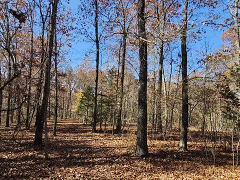 42 Whitaker Loop, Isabella, MO 65676 photo 23