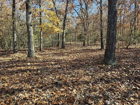 42 Whitaker Loop, Isabella, MO 65676 photo 10