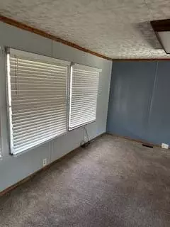 183 Aster Cir, Branson, MO 65616 photo 14