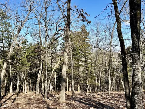 000 Eagle Ridge Rd #LOT 7, Protem, MO 65733 photo 8