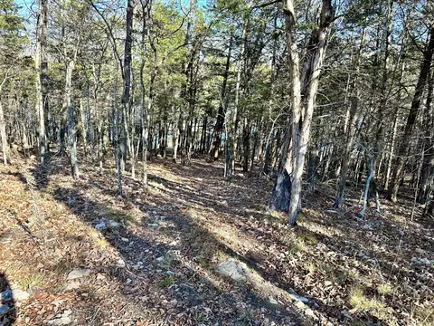 000 Eagle Ridge Rd #LOT 7, Protem, MO 65733 photo 19