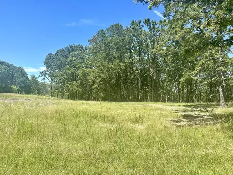 000 Eagle Ridge Rd #LOT 7, Protem, MO 65733 photo 2