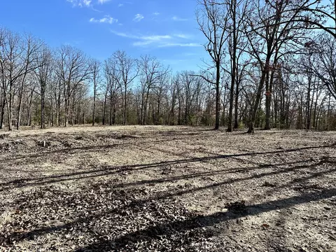 000 Eagle Ridge Rd #LOT 7, Protem, MO 65733 photo 14