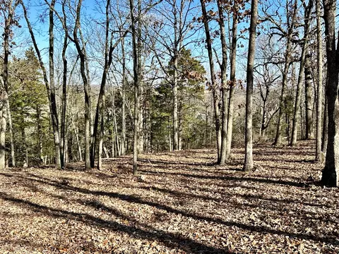 000 Eagle Ridge Rd #LOT 7, Protem, MO 65733 photo 6