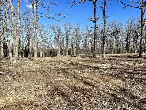 000 Eagle Ridge Rd #LOT 7, Protem, MO 65733 photo 11