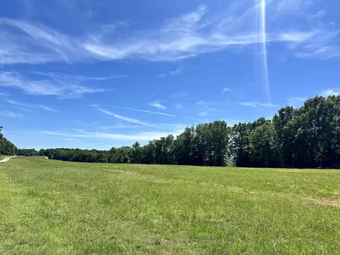 000 Eagle Ridge Rd #LOT 7, Protem, MO 65733 photo 5