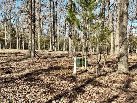 000 Eagle Ridge Rd #LOT 7, Protem, MO 65733 photo 22