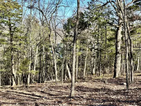 000 Eagle Ridge Rd #LOT 7, Protem, MO 65733 photo 15