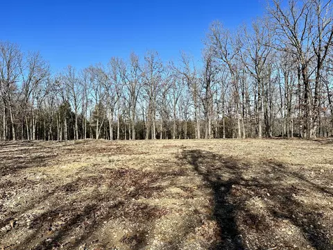 000 Eagle Ridge Rd #LOT 7, Protem, MO 65733 photo 18