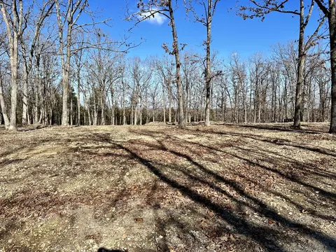 000 Eagle Ridge Rd #LOT 7, Protem, MO 65733 photo 12