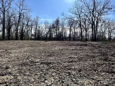 000 Eagle Ridge Rd #LOT 7, Protem, MO 65733 photo 17